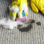 cleaning carpet spot