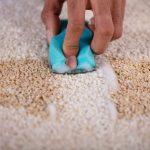blotting stain up from carpet